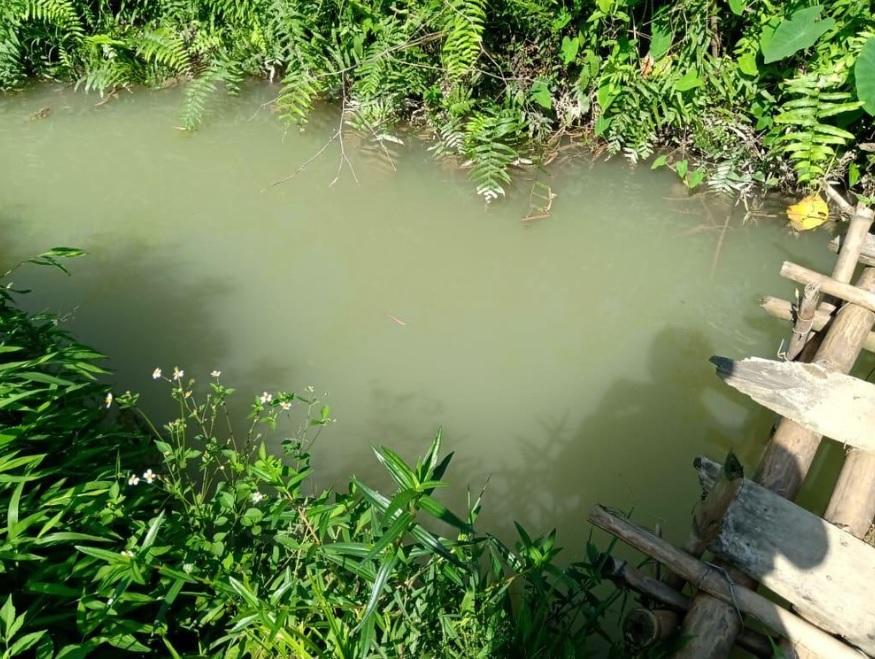 Thông tin từ đường dây nóng